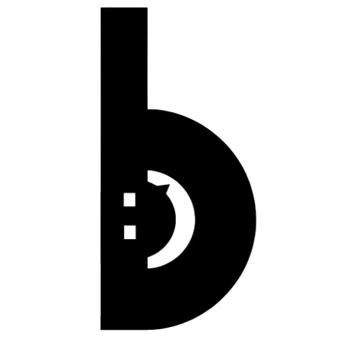 Bolo App Logo - WhatsApp Clone Developed by Muhammad Zubair